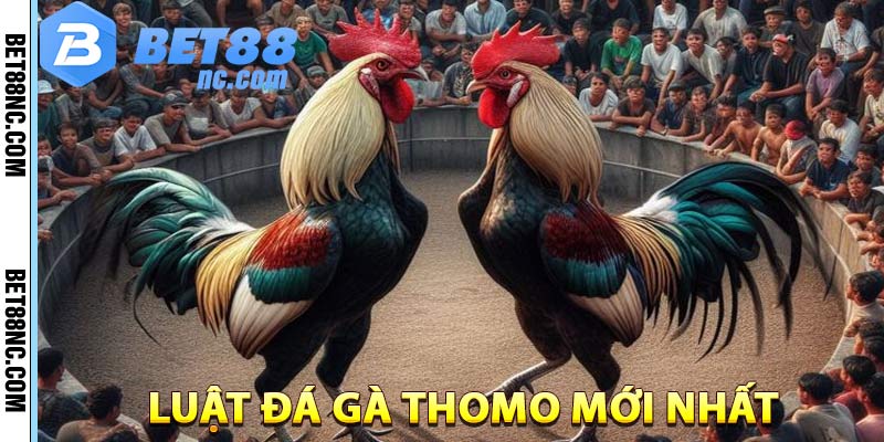 luat-truong-ga-thomo